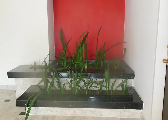 Hotel Paraiso 3*